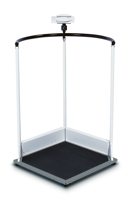 Produktbild Plattformwaage Seca 645 mit Stehhilfe 