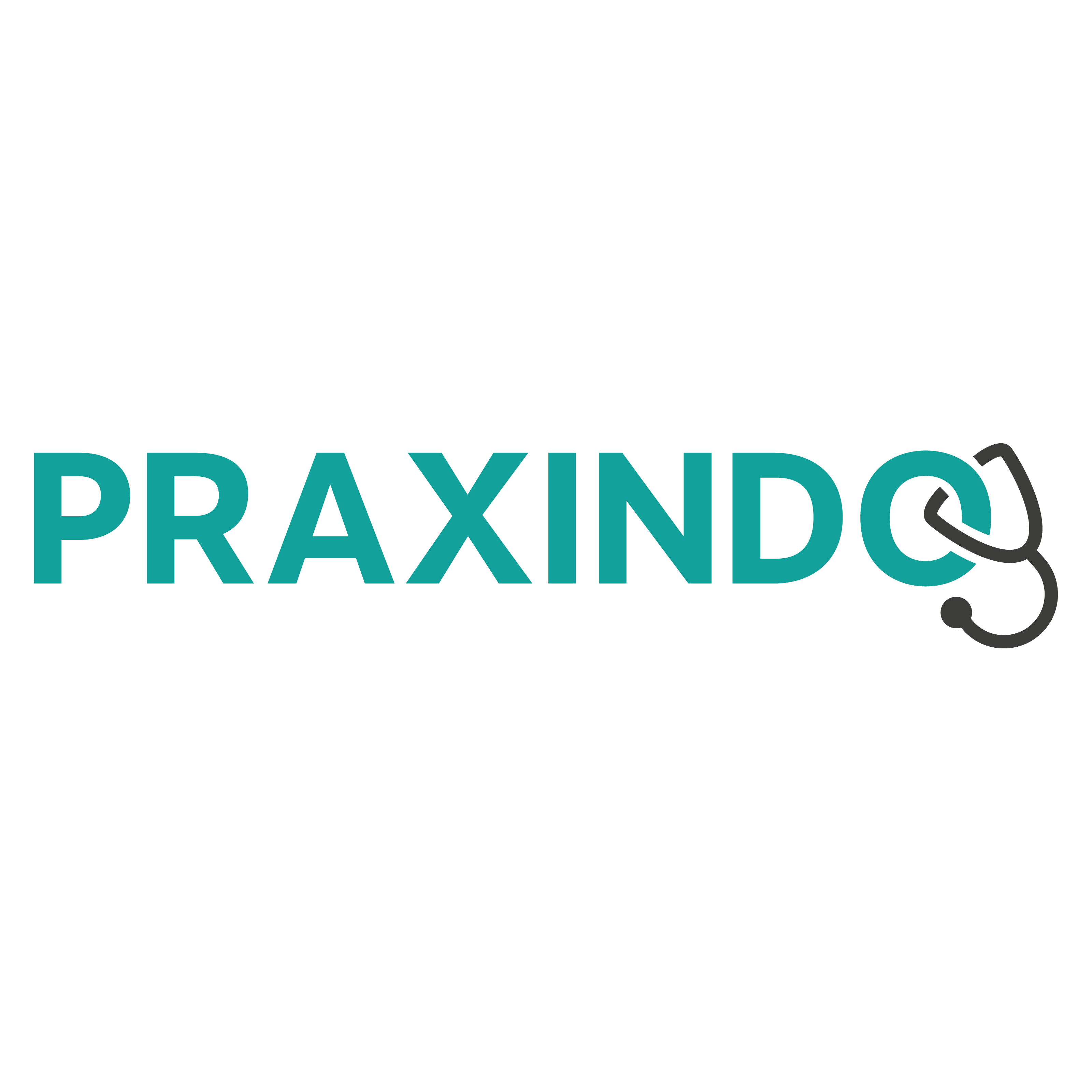 Praxindo Shop